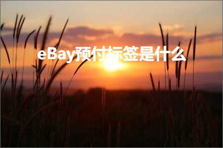 跨境电商知识:eBay预付标签是什么